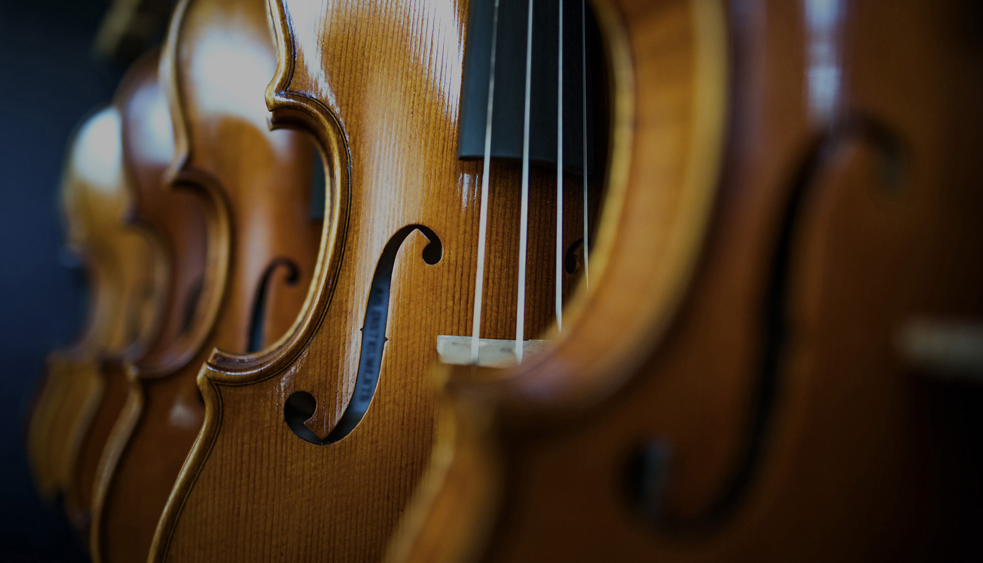 A row of KG violins seen side on, the f-holes and bridges catching the light.