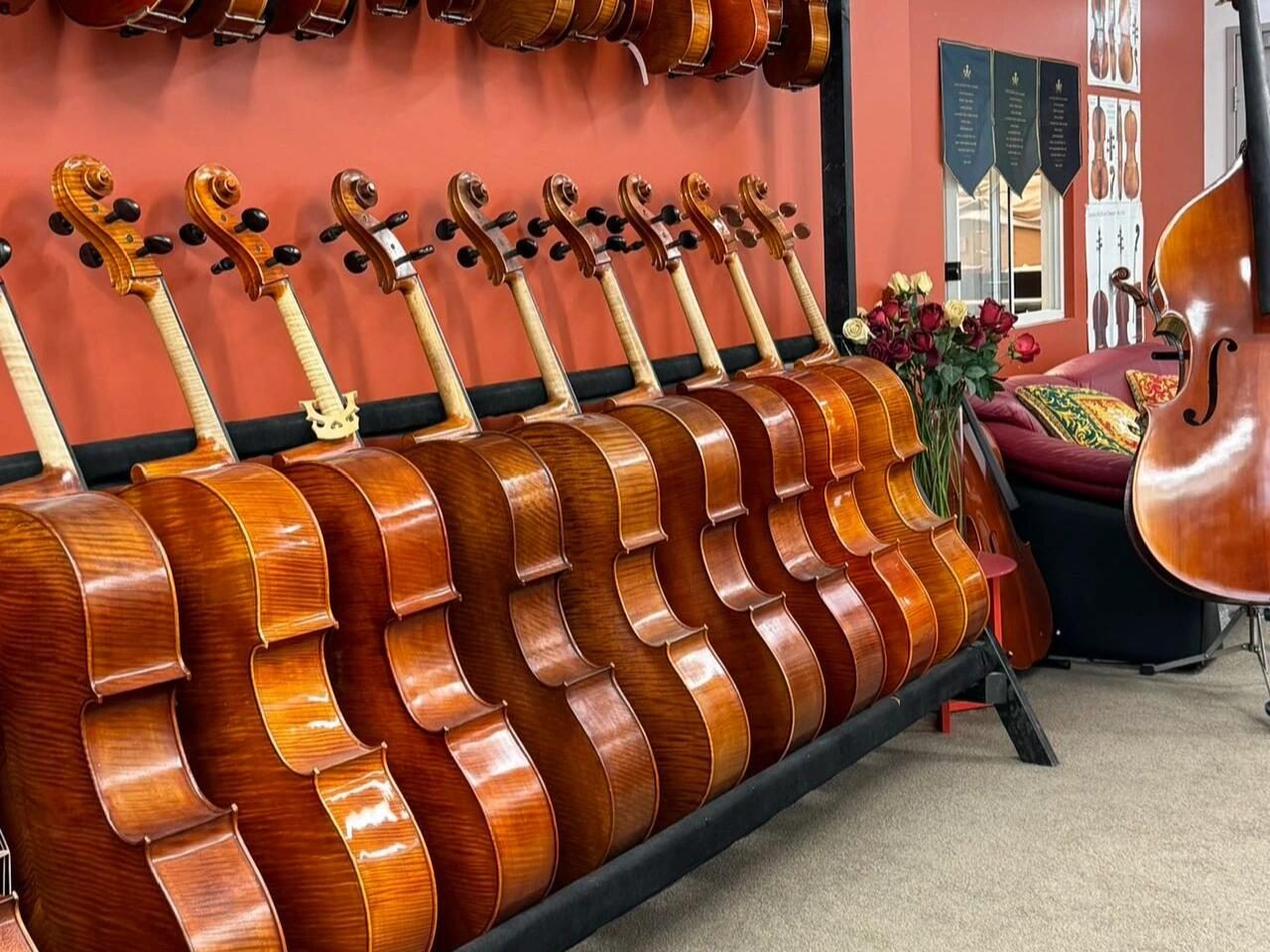 A long row of cellos standing on a rack against the red showroom wall.